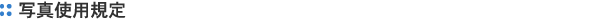 ʐ^gpK